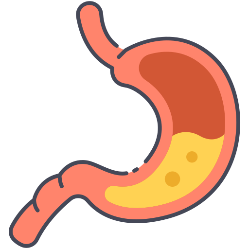 estómago icono gratis