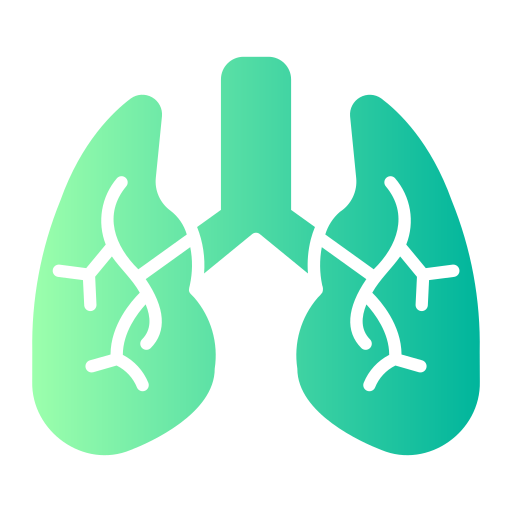 poumons Icône gratuit