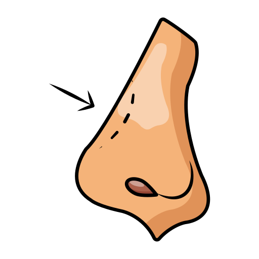 rinoplastia icono gratis