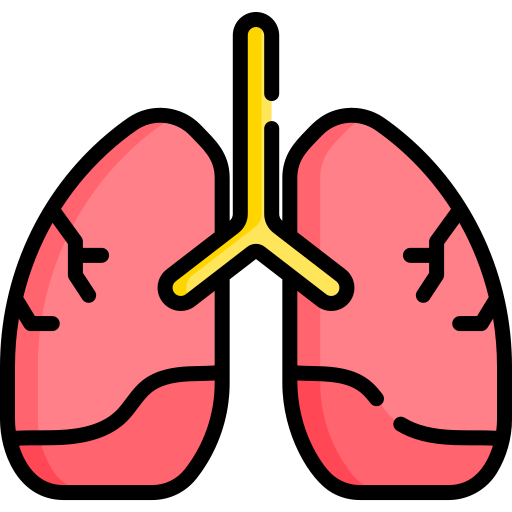 Lungs - Free healthcare and medical icons