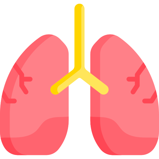 Pulmones icono gratis