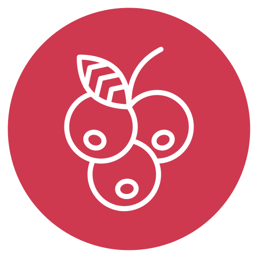 블루베리 무료 아이콘