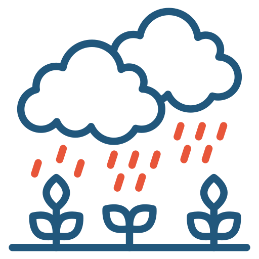 Rain free icon