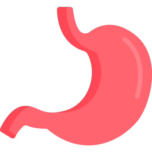 bauch kostenlos Icon