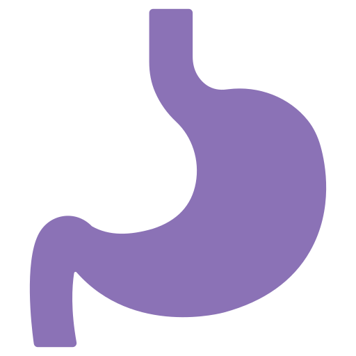 estómago icono gratis