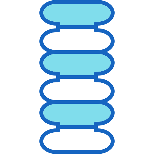 columna vertebral icono gratis