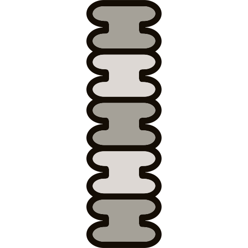 columna vertebral icono gratis