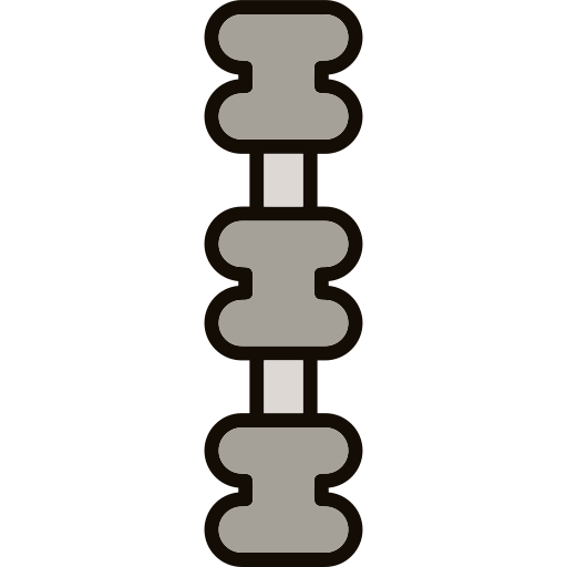 columna vertebral icono gratis