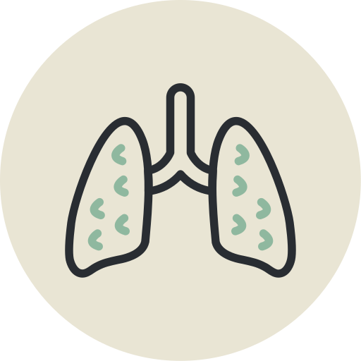 sistema respiratorio icono gratis