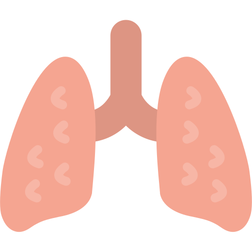 sistema respiratorio icono gratis