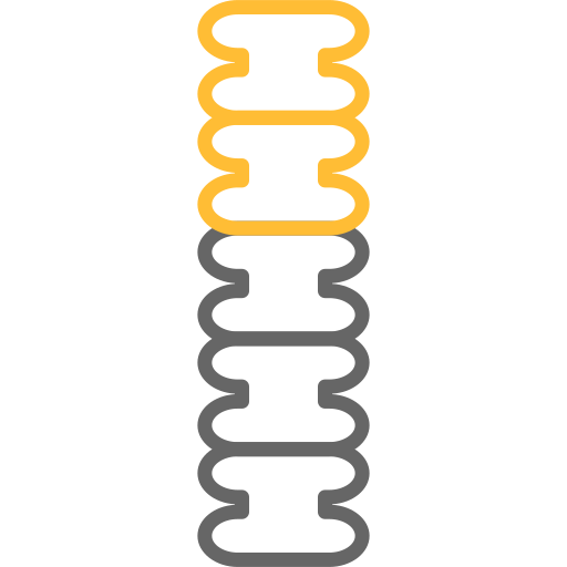 columna vertebral icono gratis