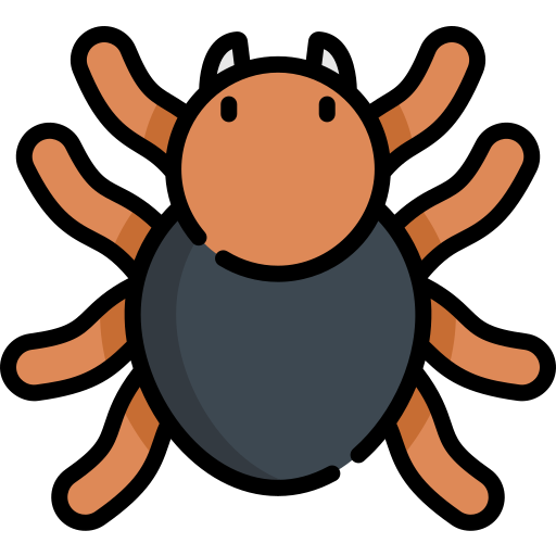 Tarantula Kawaii Lineal color icon