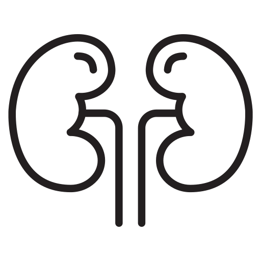 Kidney free icon Kidney free icon