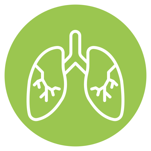 pulmones icono gratis