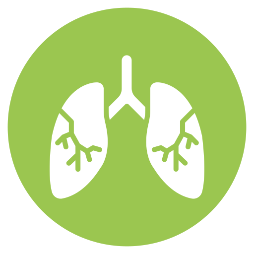 Lungs free icon Lungs free icon