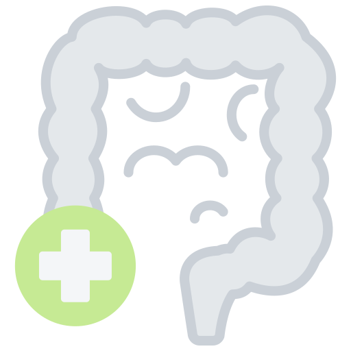 gastroenterologie kostenlos Icon