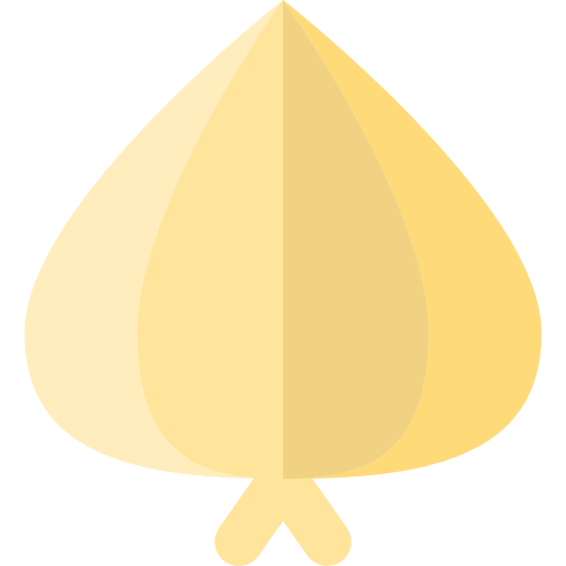 cebolla icono gratis