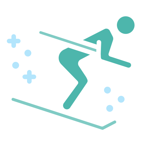 Лыжи бесплатно иконка