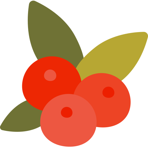 Blueberries free icon Blueberries free icon