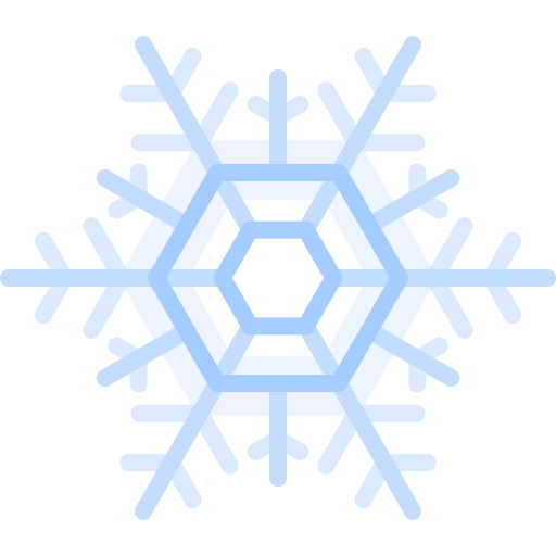 Snowflake Special Flat icon