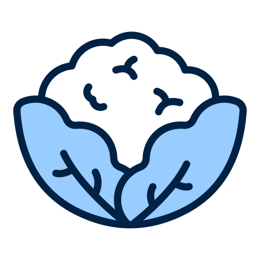 Cauliflower free icon