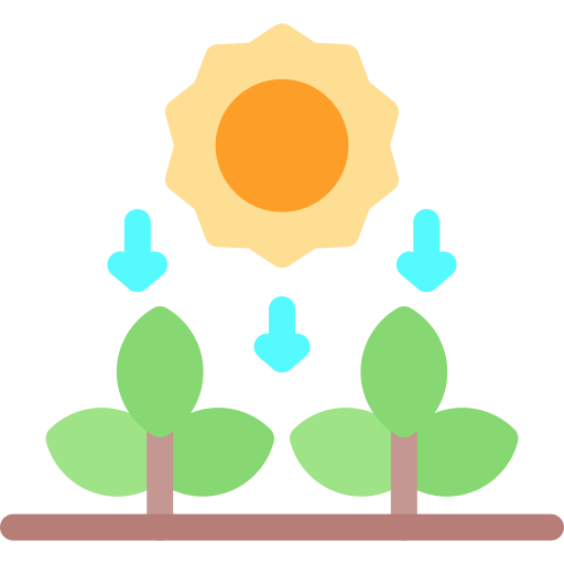 fotosíntesis icono gratis