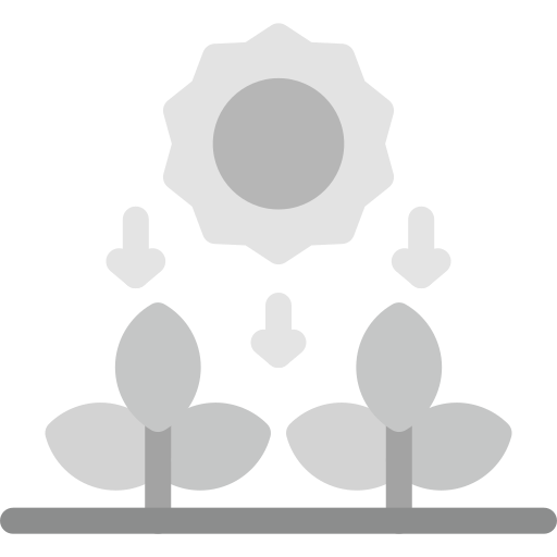 fotosíntesis icono gratis