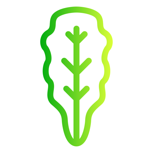 Lettuce free icon