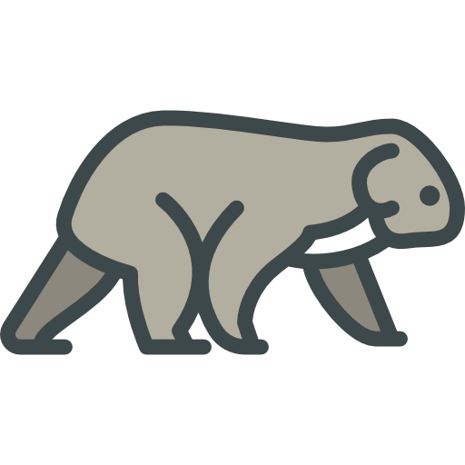 koala kostenlos Icon koala kostenlos Icon