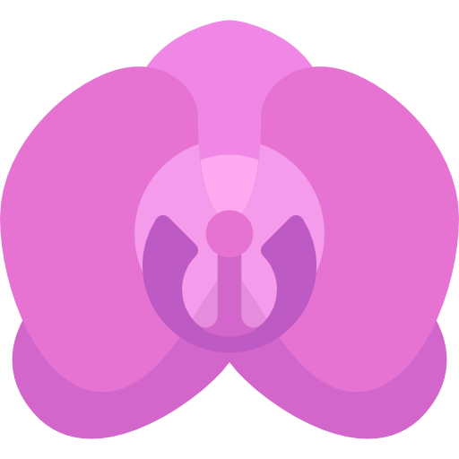orchidee kostenlos Icon orchidee kostenlos Icon