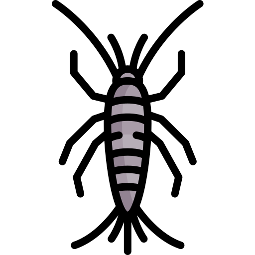 Silverfish - Free animals icons