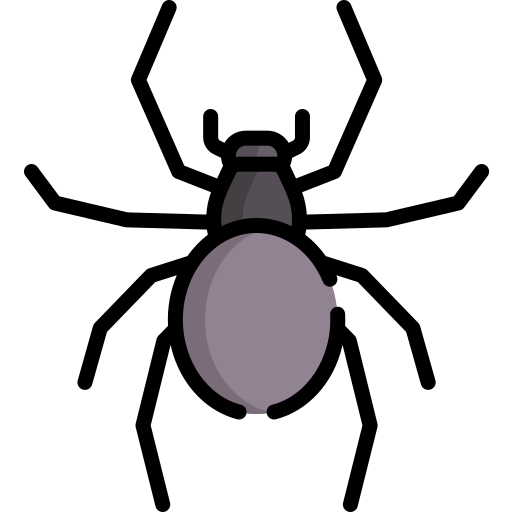 거미 무료 아이콘