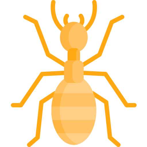 Termite Special Flat icon