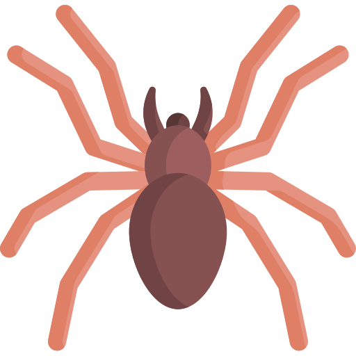 Aranha grátis ícone