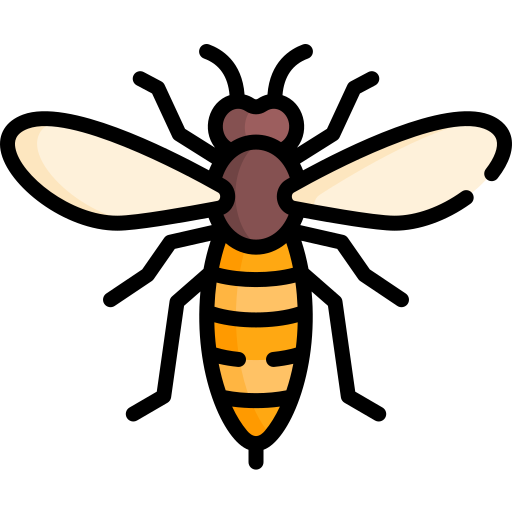 Wasp Special Lineal color icon