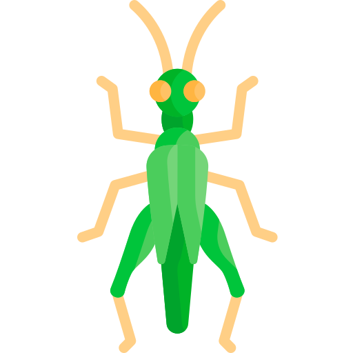 Grasshopper Special Flat icon