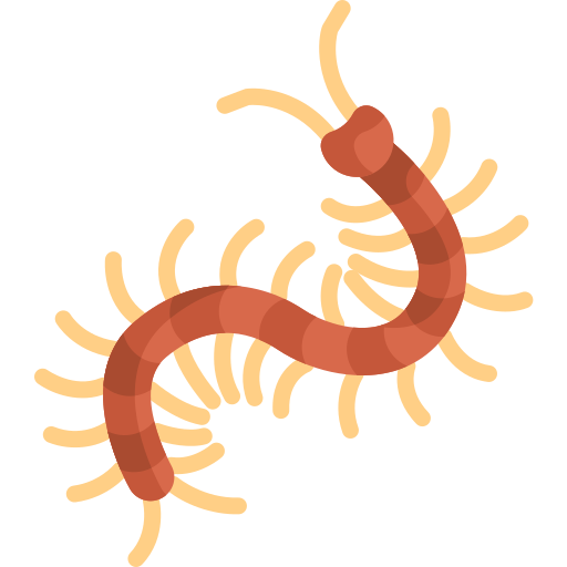 Centipede Special Flat icon