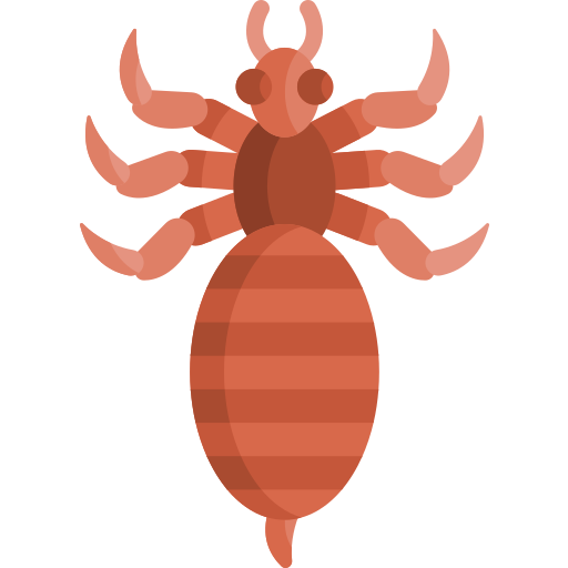 Вошь бесплатно иконка