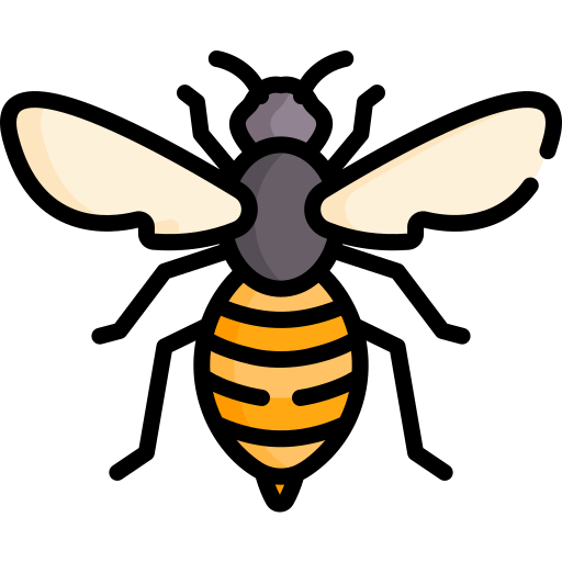 Bee Special Lineal color icon