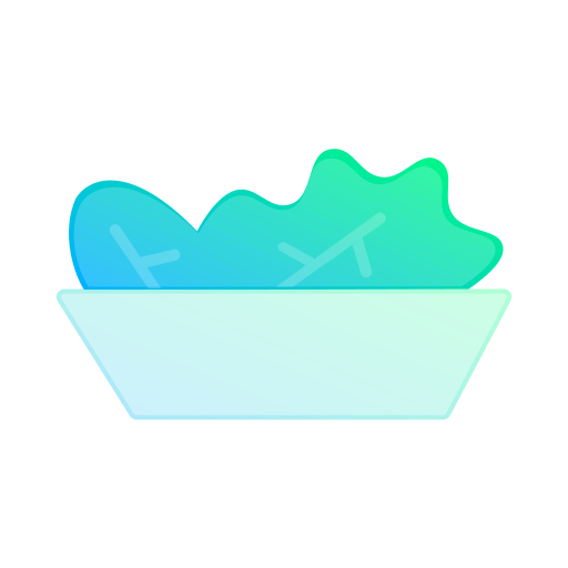 salat kostenlos Icon