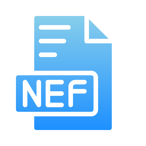 nef icono gratis