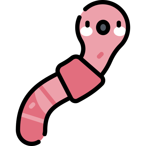 Gusano icono gratis