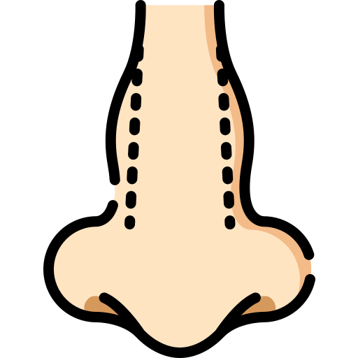 Rinoplastia grátis ícone Rinoplastia grátis ícone