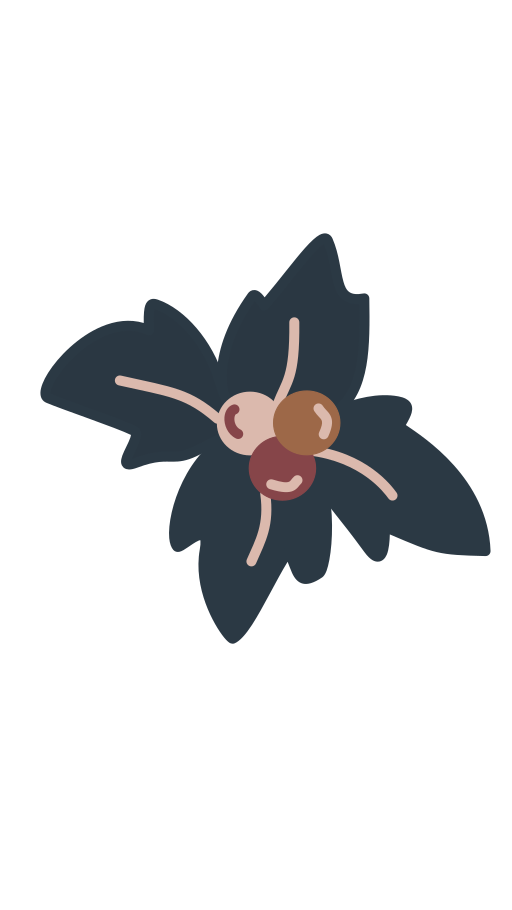 flor de navidad icono gratis