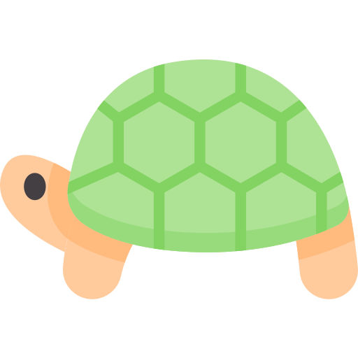 Turtle Special Flat icon