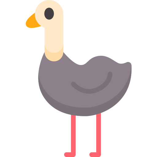 Ostrich Special Flat icon