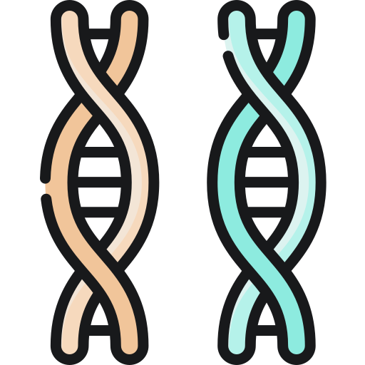 Dna Special Lineal Color Icon