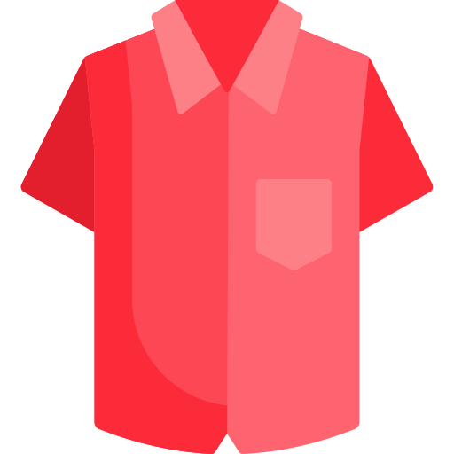 Shirt Special Flat icon