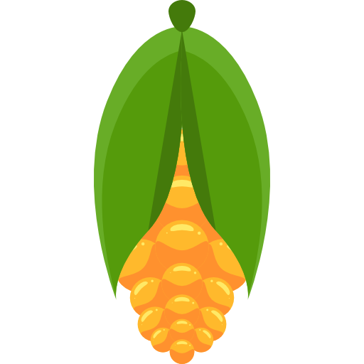 Кукуруза бесплатно иконка