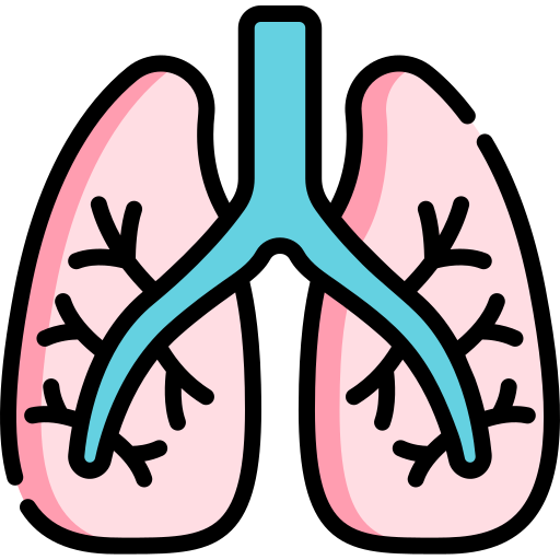 Pulmones Iconos Gratis De M Dico